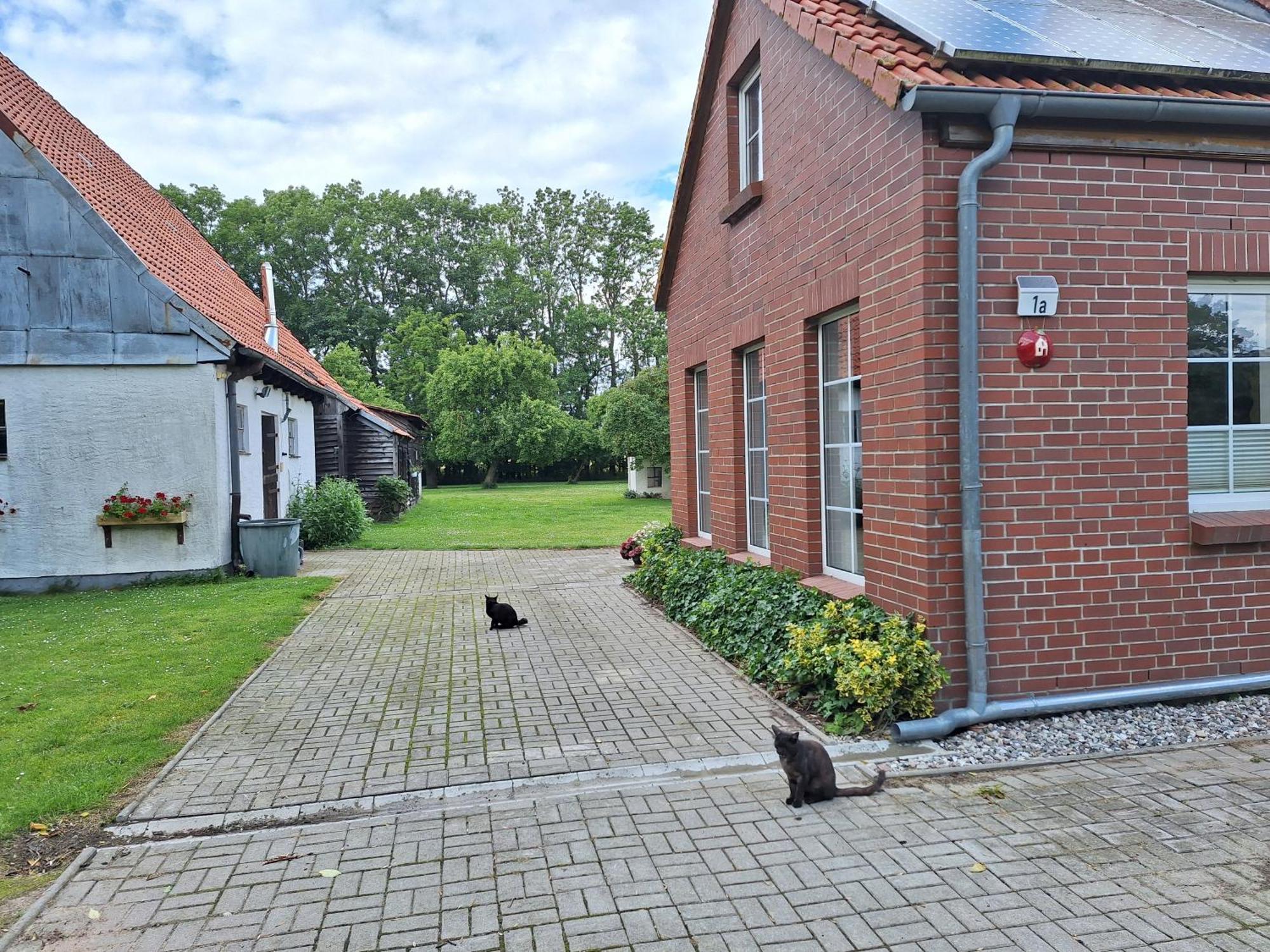 Das Apfelhaus Rappin Eksteriør billede